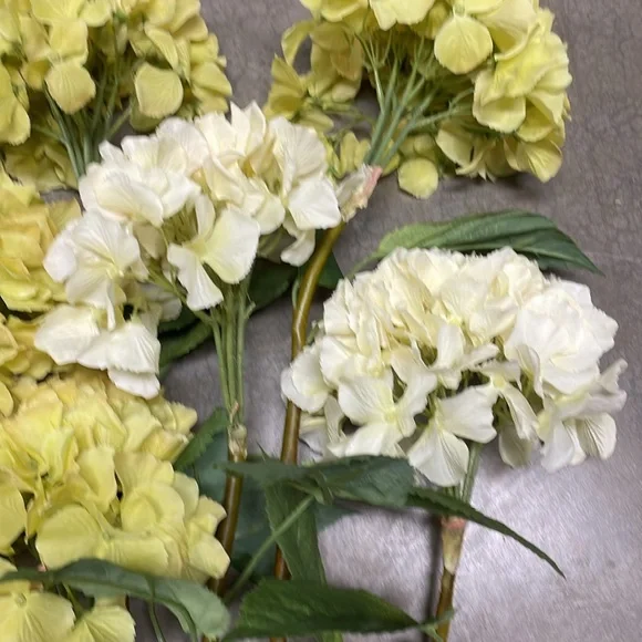 Hydrangeas, 4 in green yellow and 2 in a light yellow - Picture 3 of 6